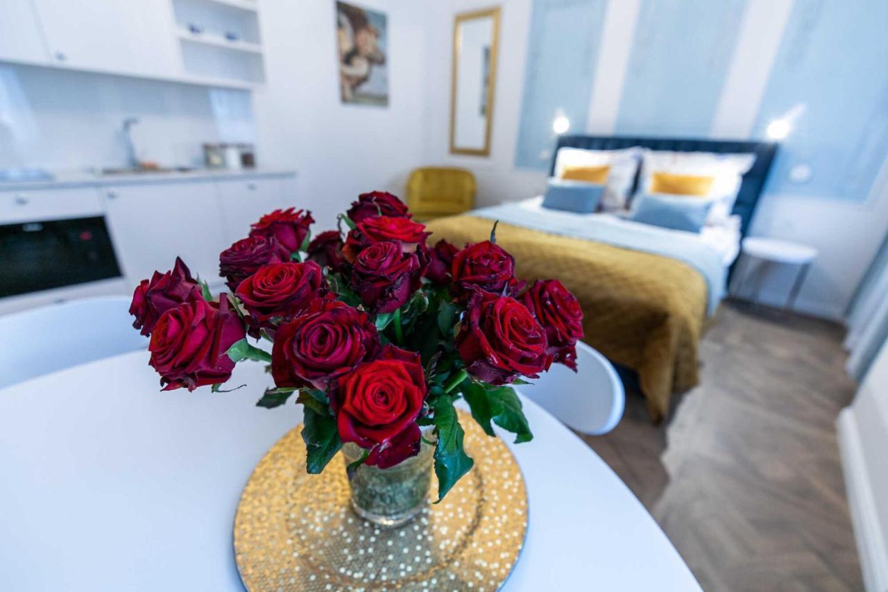 Stary Toruń Apartament Planety 아파트 외부 사진